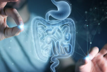 Flora Intestinale